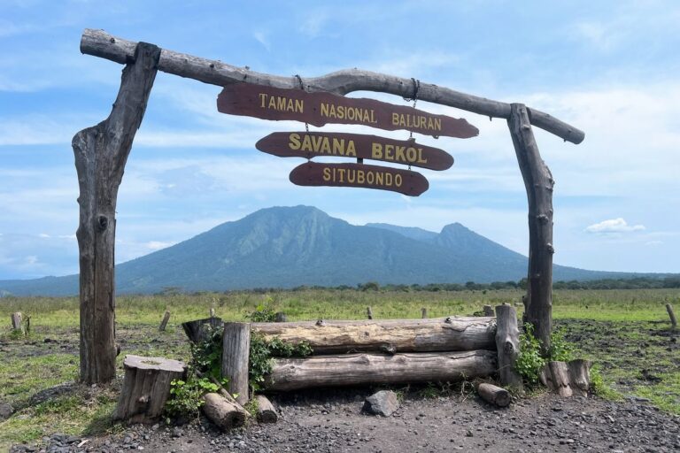 Taman Nasional Baluran, Indahnya Padang Sabana Ujung Timur Pulau Jawa