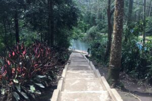 8 Tips Wajib Tahu Sebelum Liburan ke Situ Cisanti Bandung