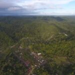 Berkunjung ke Taman Nasional Pulau Siberut, Tempat Konservasi Primata Endemik dengan Sejuta Potensi Wisata