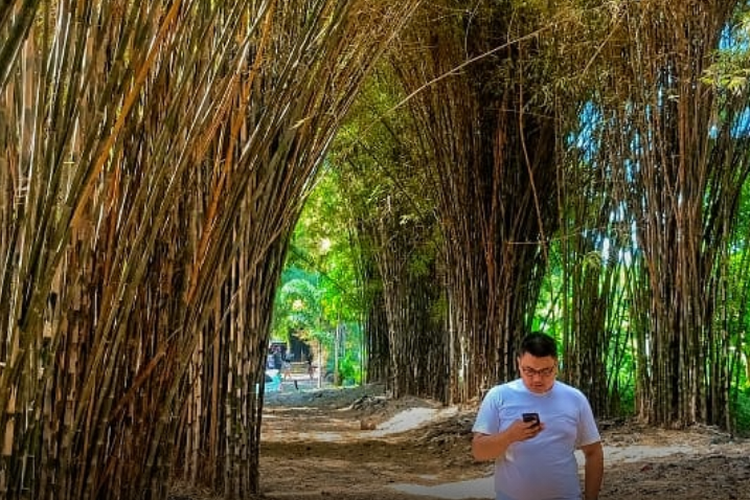 Hutan Bambu Keputih Surabaya: Daya Tarik, Harga Tiket, dan Jam Buka