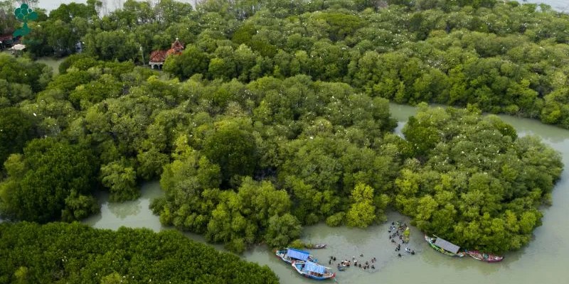 5 Rekomendasi Ekowisata Mangrove, Menggali Potensi dan Keberlanjutan