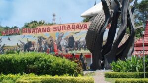 Wisata Kebun Binatang Surabaya (KBS), Ini Fasilitas dan Harga Tiketnya 2023