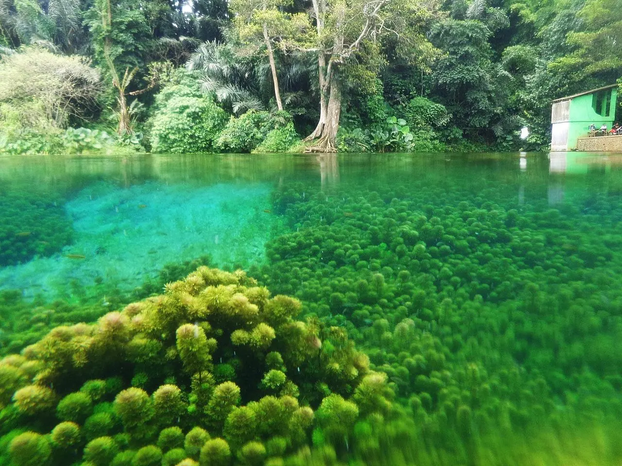 Sumber Sirah, Sajian Mata Air Menyejukan dari Malang