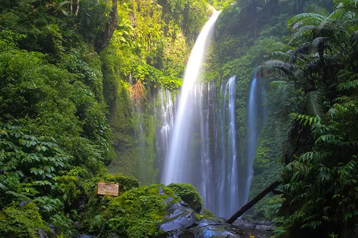 Air Terjun Tiu Kelep & Sendang Gila, Pesona Dua Kesegaran Alami