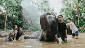 Lombok Wildlife Park: Lokasi, Daya Tarik, Aktivitas Seru, Harga Tiket