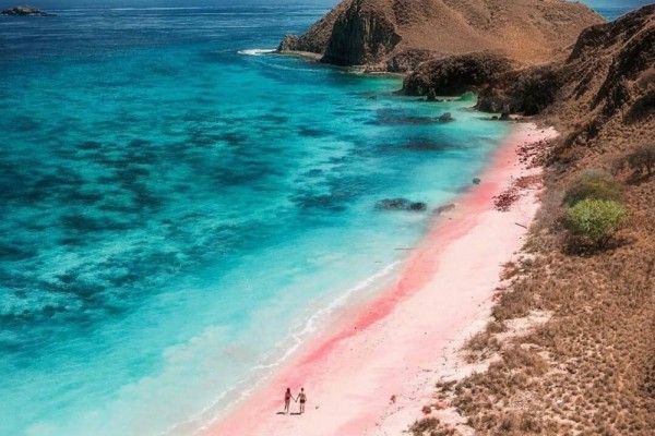 Informasi Lokasi, Rute, dan Tips Liburan ke Pantai Pink di Lombok