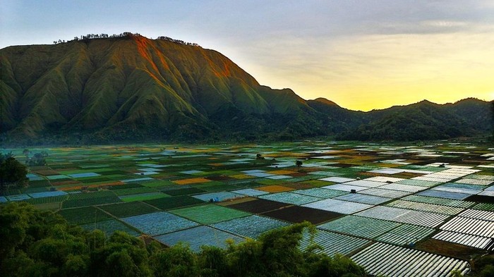 Wisata Bukit Selong Sembalun: Lokasi, Rute, Harga Tiket, Jam Operasional