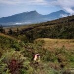 Bukit Pergasingan Lombok dan 5 Daya Tariknya