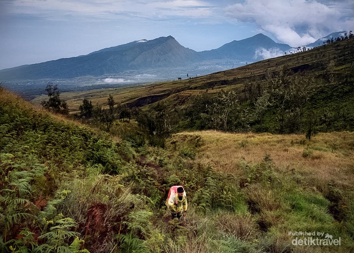 Bukit Pergasingan Lombok dan 5 Daya Tariknya