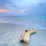 Wisata Pantai Senggigi: Lokasi, Daya Tarik, Biaya, hingga Rute