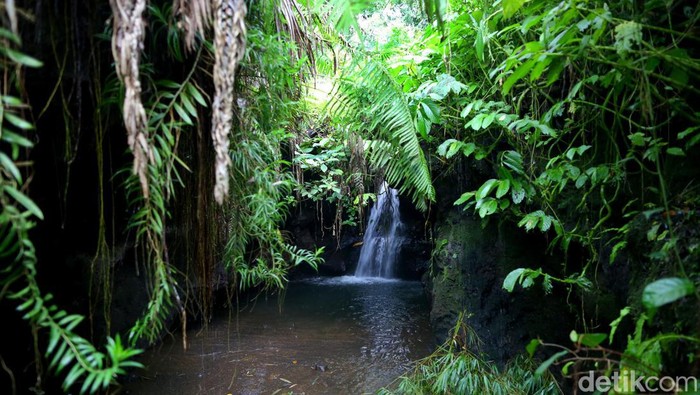 Keindahan Alam Air Terjun Tetebatu yang Jarang Dikunjungi Wisatawan