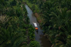 4 Tips Wisata ke Mentawai untuk Pertama Kali, Cari Banyak Informasi