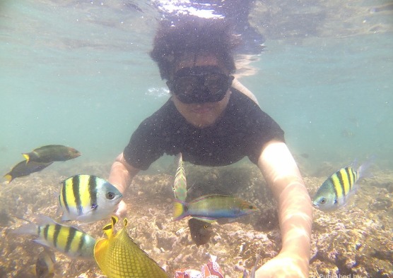 Menikmati Pulau Angso Duo dan Pantai Cerocok, Hidden Gems Sumbar