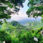 Wisata Ngarai Sianok: Lokasi, Harga Tiket, dan Daya Tarik