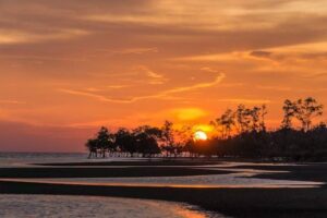 Daya Tarik Pantai Padang, Salah Satu Tempat Wisata Populer yang Wajib Dikunjungi