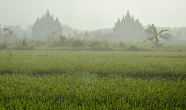 Taman Purbakala Pugungraharjo, Situs Sejarah di Lampung Timur