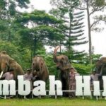 Lembah Hijau Lampung: Lokasi, Harga Tiket, Fasilitas, dan Atraksi Menariknya