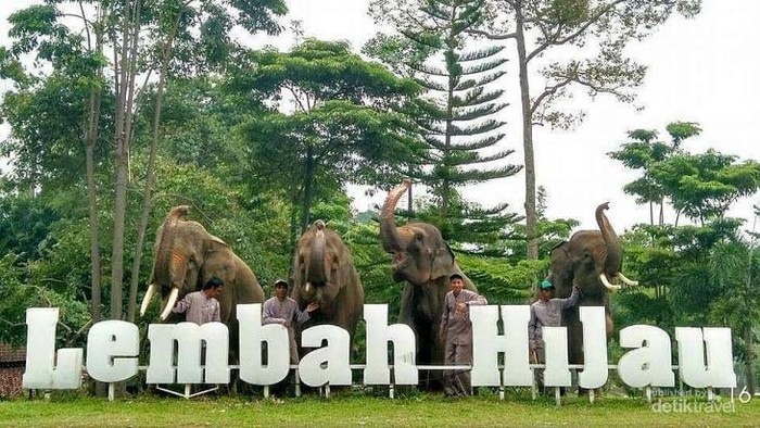 Lembah Hijau Lampung: Lokasi, Harga Tiket, Fasilitas, dan Atraksi Menariknya