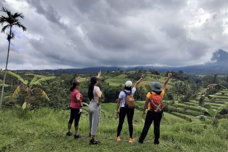 Trekking di Jatiluwih Bali, Healing Sambil Lihat Sawah mulai Rp 15.000