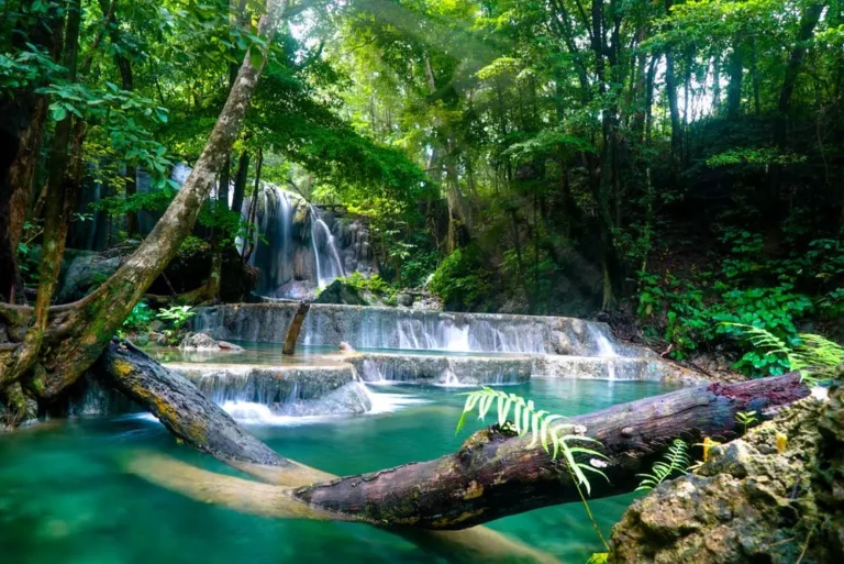 Destinasi Wisata Indonesia Jadi Tempat Liburan Pesohor Dunia