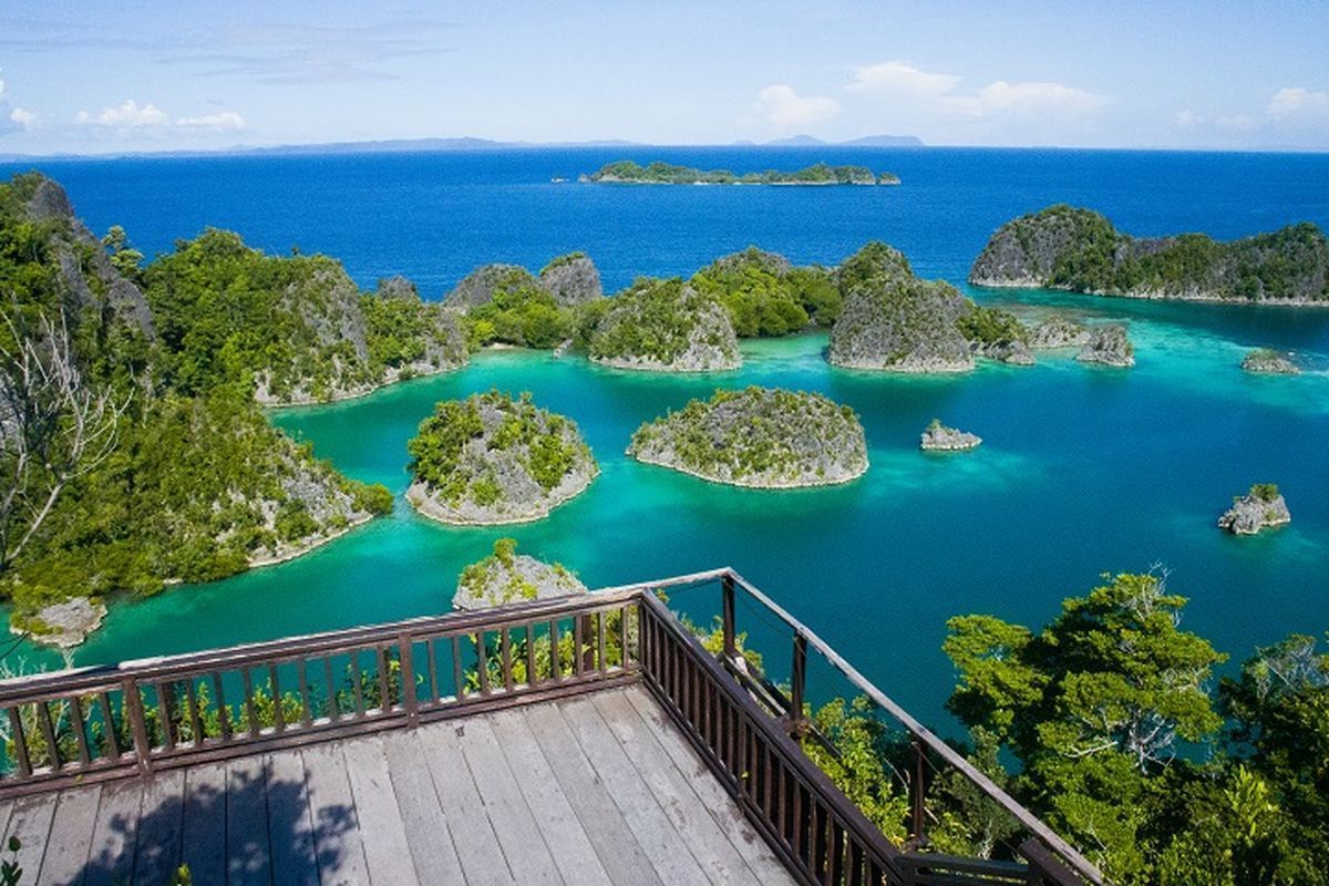 Dari Jakarta Menuju Raja Ampat, Ini Panduan Transportasi dan Harga 2025